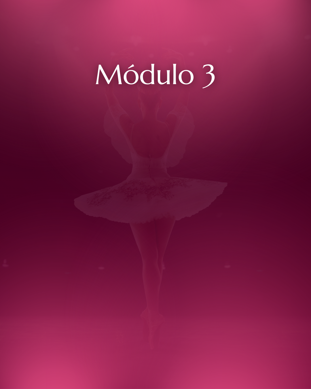 módulo 03 – le grand módulo 03 - le grand